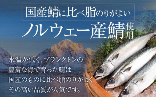 さば 塩サバ 塩焼鯖 2枚×12P（約3kg） 大ぶり 調理済 レンチン 温めるだけ 脂のり 惣菜 晩御飯 おかず ジューシー 冷凍 お弁当 レンジ調理 サバ 自社製造 朝ごはん 和食 簡単調理 アレンジ 塩焼き