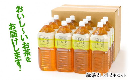 【定期便】トライアルのおいし～い緑茶（2L×12本）を3か月連続でお届け