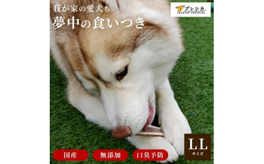 鹿の角 犬のおもちゃ ペット用 LLサイズ ( ペット おもちゃ 鹿 角 )【079-0005】