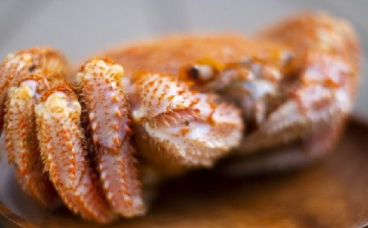 【令和8年発送】三陸産！活毛ガニセット(250g×3杯(3尾))【2026年2月〜4月発送】【配送日指定不可】【0tsuchi00554】【08】