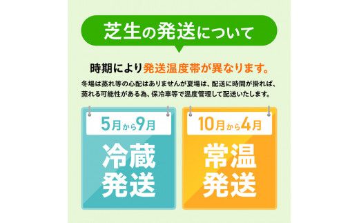 老舗日向芝産「姫高麗芝」2平方メートル 【 2㎡ 九州産 川南町産 宮崎県産 芝生 日本芝 ガーデニング 】 [F10302]