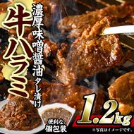 濃厚味噌醤油 タレ漬け牛ハラミ(サガリ)肉 小分け 個包装で便利！ (合計1.2kg・300g×4p) 牛肉 焼くだけ 簡単 焼肉 焼き肉 やきにく 厚切り 肉厚 冷凍 BBQ 希少部位 【BD300】【西日本畜産 (株)】