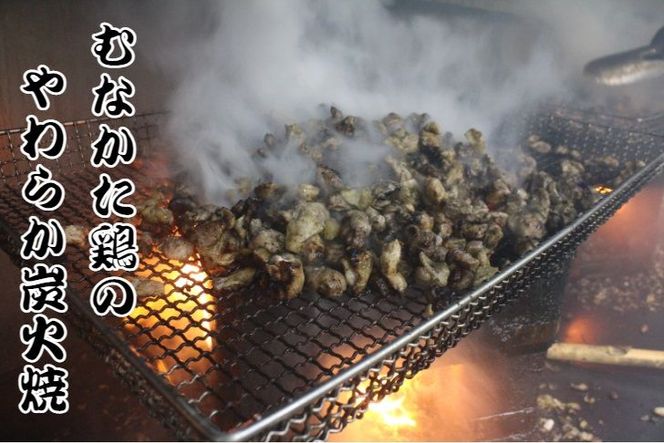 むなかた鶏加工品2点セット（とり皮チップス・やわらか炭火焼）【道の駅】_HA0772