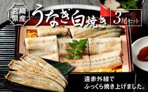 宮崎県産 うなぎ 白焼き 3尾セット K10_0010_3 