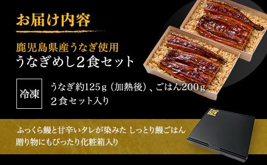 鹿児島県産うなぎ使用 冷凍うなぎめし 2食セット ※離島への配送不可