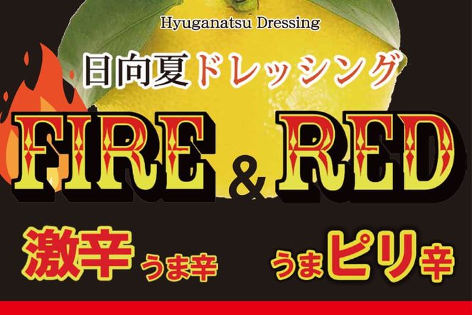 ドレッシング 日向夏 ドレッシングRED うま ピリ辛 タイプ  295ml 5本 小分け袋付き [ミツイシ 宮崎県 日向市 452060839] 調味料 柑橘 日向夏 詰め合わせ セット