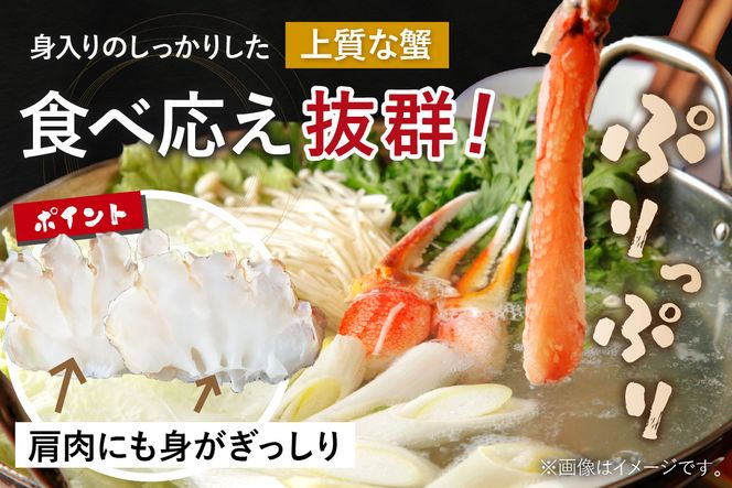 北見市加工 生冷本ズワイガニセット 800g 昆布入 ( 海鮮 魚介類 魚介 蟹 かに カニ セット 鍋 カニ鍋 カニ爪 ズワイガニ かにしゃぶ カット済 贈答 ギフト 熨斗 のし ふるさと納税 )【094-0050】