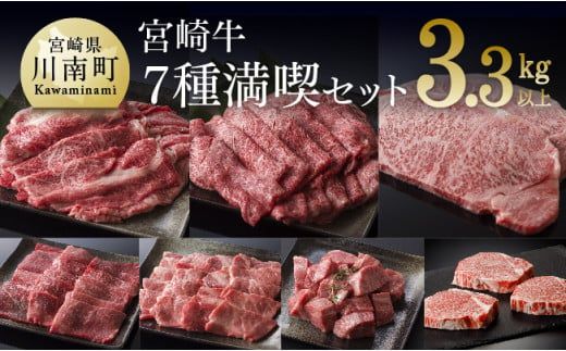 宮崎牛 満喫セット 7種 3.3kg 肉 牛 牛肉 国産 黒毛和牛[D00663]