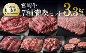 宮崎牛 満喫セット 7種 3.3kg 肉 牛 牛肉 国産 黒毛和牛[D00663]