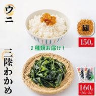 三陸わかめ 潮ウニ 無添加 150g 塩蔵わかめ 160g 冷凍 国産 ( ミョウバン不使用 無添加 冷凍 ウニ 塩水 うに 三陸産 国産 天然 雲丹 大船渡市 岩手県 ウニ丼 刺身 ご飯のお供 18000円) [56500614_1]