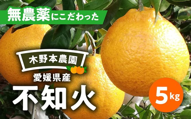 【栽培期間中農薬不使用】【先行受付】【数量限定】農園直送！愛媛県産不知火 5kg ｜ 柑橘 みかん ミカン 蜜柑 フルーツ 果物 ギフト 贈り物 栽培期間 無農薬 愛媛県産　※2025年2月上旬頃より順次発送予定