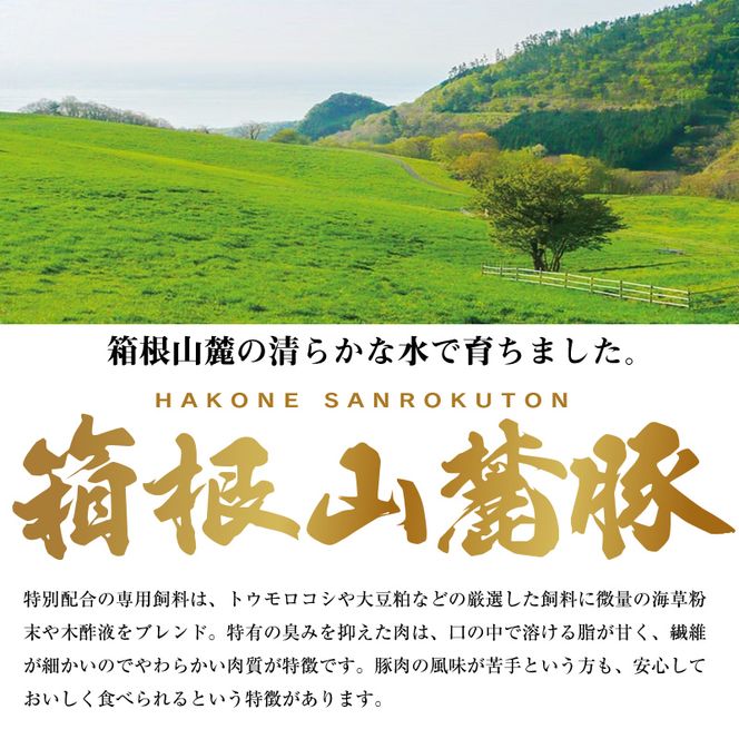 169-2571　【定期便12ヵ月】箱根山麓豚　モモ・ウデ切り落とし２K盛り(500ｇ×４パック)【 箱根山麓豚 切り落とし 神奈川県 小田原市 】