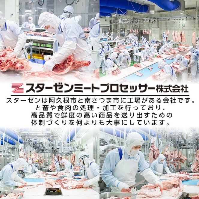氷感熟成豚ロースブロック(1kg) 肉 豚 豚肉 ロース ブロック ブロック肉 【スターゼン】a-16-14