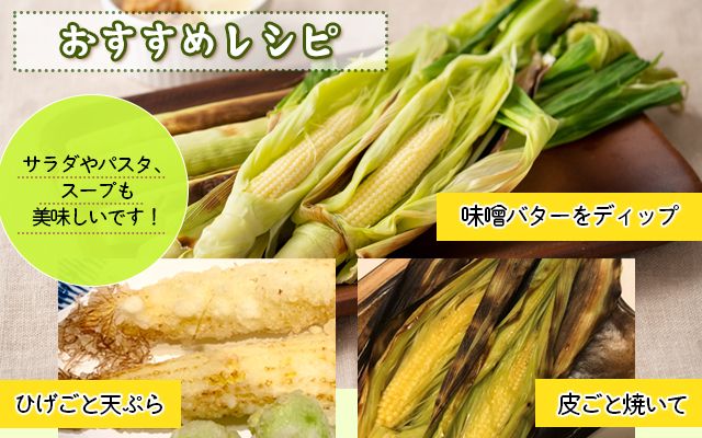 《期間限定》北海道 士幌産 わかもろこし 25本 セット (2026年7月中旬～発送開始予定) 皮付き 甘い ヤングコーン 十勝産 トウモロコシ とうもろこし 新鮮 野菜 産地直送 産直 お取り寄せ 送料無料 十勝 士幌町【L28】