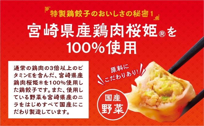 悠瑠里特製鶏餃子72個_M293-003