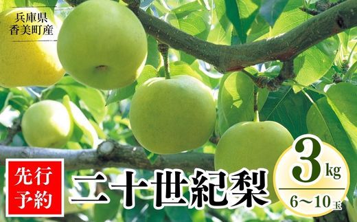 [先行予約][梨 20世紀梨 香住梨 3kg 秀品(Aランク)L〜5Lサイズ混合6〜10玉]大人気 ふるさと納税 おすすめ 返礼品 青梨 和梨 国産 たじまんま JAたじま 12000円 76-02