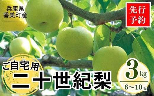 《2026年産 先行予約》【梨 二十世紀梨 香住梨 3kg ご自宅用 優品（Bランク）L～5Lサイズ混合6～10玉】【令和8年8月下旬以降発送予定】 梨 20世紀梨 香住梨 シャキシャキ 甘味 瑞々しさ 香住梨 フルーツ 果物 ご家庭用 なし ナシ 和梨 青梨 大人気 おすすめ ランキング 兵庫県 香美町 香住 JAたじま たじまんま 76-03