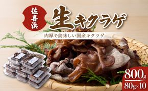 ビン玉編み yk001（高知県室戸市） | ふるさと納税サイト