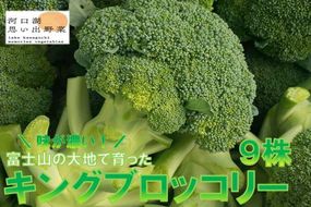 ＜26年発送先行予約＞【数量限定】でかっ！富士山の大地でゆっくり育ったキングブロッコリー９株 FAH006