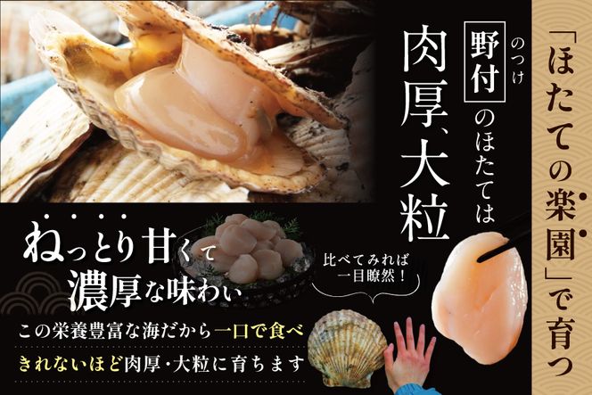 【訳あり/サイズ不揃い】ホタテ 大粒 40粒前後(約1kg) 旨さ 際立つ ！ 野付産 ほたて【NK000NP00】