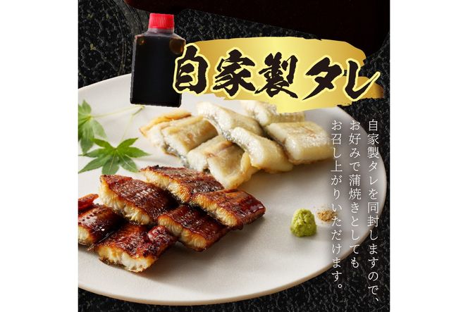 うなぎの食べ比べセット2~3人前【蒲焼き・白焼きそれぞれ1/2尾】全部で1尾　ウナギ 鰻 蒲焼 かばやき 白焼き しらやき タレ 国産 丑の日 ふるさと納税 うなぎ ふるさと納税 鰻 ふるさと納税 食べ比べ ふるさと納税 惣菜 ふるさと納税 セット AN00074