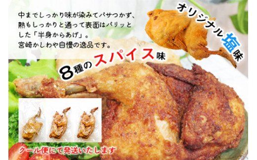 ＜半身からあげ3本セット(塩味×2本 スパイス味×1本)＞準備でき次第翌々月までに順次発送【a0031_hi】