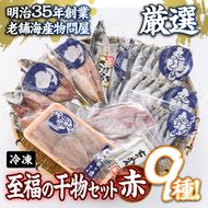 老舗海産物問屋 選りすぐり干物 セット 赤 (9種)あじ 鯵 たい 鯛 みりん ちりめん さば 鯖 海鮮 魚 いわし セット 詰合せ 【BQ69】【佐伯海産(株)】