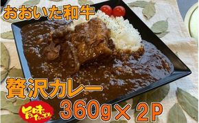 おおいた和牛の贅沢カレー 2パック_1725R