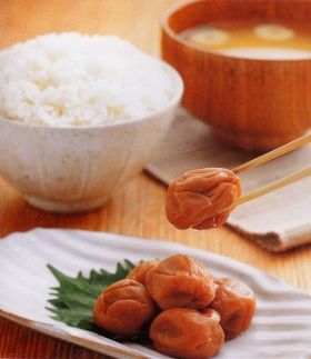 紀州南高梅　うす塩味梅5Kg　T132