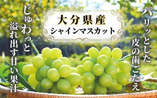 D3-05 至極の果実　おおいたのシャインマスカット2kg