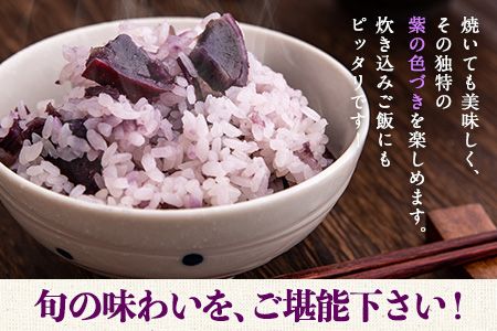 熊本県大津町産 ふくむらさき 5kg《2026年1月上旬-5月末頃出荷》 タカハマ観光農園 さつまいも 芋 紫芋 高糖度---so_takafms_af15_r7_10500_5kg---