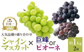 ＜25年発送先行予約＞厳選!! 池田青果の【大人気ぶどう2種盛り合わせ】シャインマスカット・巨峰 or ピオーネ（1.0kg） 173-002