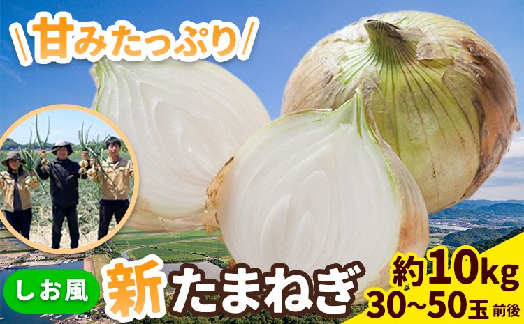 [2025年先行予約] しお風新たまねぎ 約10kg 2025年発送 先行予約[5月下旬-6月上旬頃出荷] 玉ねぎ 新たまねぎ 玉葱 たまねぎ 新玉 野菜 青果物 岡山県 笠岡市---223_732_5g6j_23_5000_10kg---