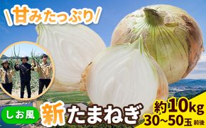 【先行予約】 しお風新たまねぎ 約10kg 先行予約《5月中旬-6月上旬頃出荷》 玉ねぎ 新たまねぎ 玉葱 たまねぎ 新玉 野菜 青果物 岡山県 笠岡市---kasaoka_zsy_140_10---