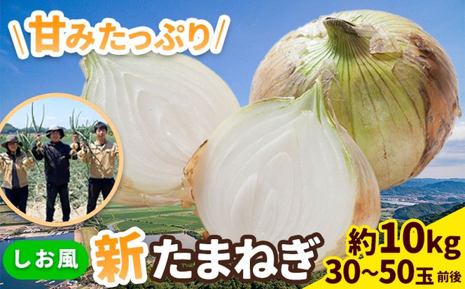 しお風新たまねぎ 約10kg《5月下旬-6月上旬頃出荷(土日祝除く)》 玉ねぎ 新たまねぎ 野菜 青果物 岡山県 笠岡市---223_732_5g6j_23_5000_10kg---