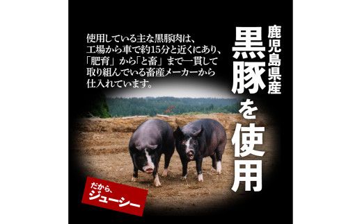 鹿児島黒豚100％餃子　48個入り　K027-008