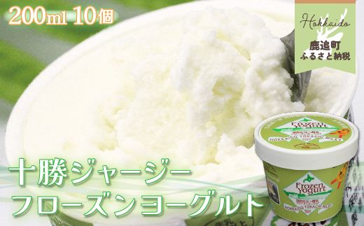 ykCǒz\W[W[ t[Y[Og@10Zbg SKM003