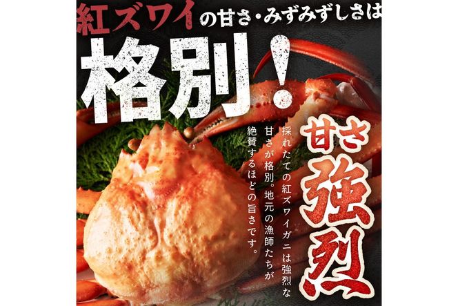 採れたて！釜茹で！　紅ズワイガニ　2杯 YK00312