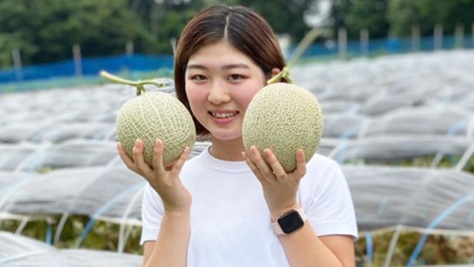 【 令和8年産 】【 先行予約 】クラリスメロン 秀品 1箱 2玉入り 飯岡 メロン クラリス 青肉 果物 フルーツ 甘い [CG004ya]