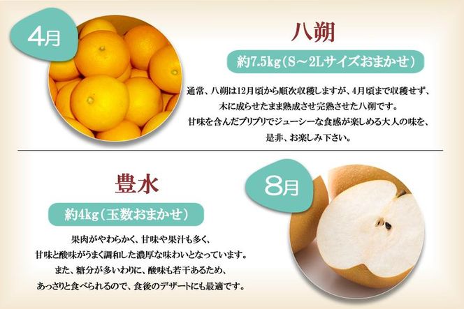 【定期便全6回】 有田川町の旬のフルーツをお届け！BZ110