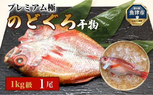 【プレミアム極】日本海産のどぐろ干物　1kg級　1尾（数量限定）