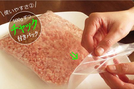 ＜宮崎産豚ミンチ4kg＋塩＞3か月以内に順次出荷【c478_tf_x3】