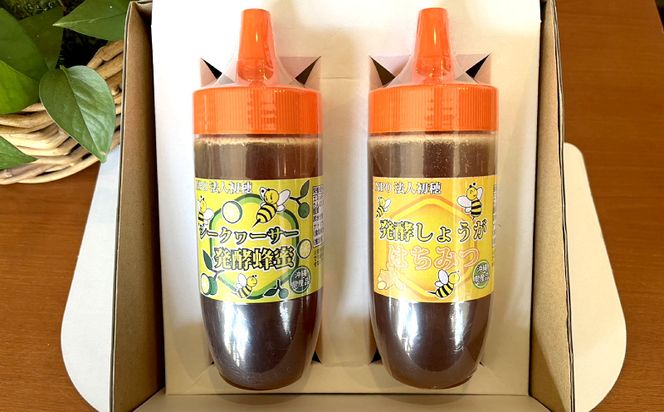 発酵蜂蜜　シークヮーサーと発酵しょうが　各320g　2種類のはちみつ　詰め合わせ