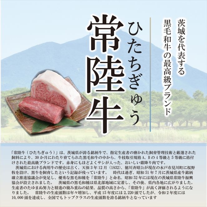 169-1-007　ホテルテラスザスクエア日立　*禁煙*スイートルームペア宿泊券　高級鉄板ディナー付き【 ホテル 宿泊券 茨城県 日立市 】