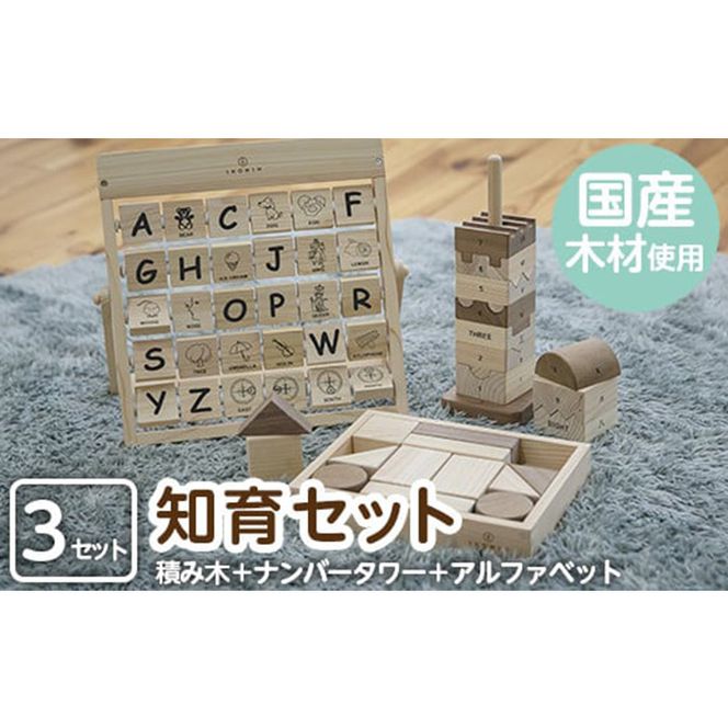 a546 姶良市産木材使用！IKONIH知育セット！【IKONIH FUKUOKA】ブロック 数字ブロック ナンバー タワー アルファベットカード 知育 玩具 遊び 木遊び おもちゃ 子ども 想像力　創造力 誕生日 木 木材