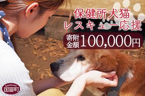 ＜保健所犬猫レスキュー【返礼品なしのご寄附】＞寄付金額100,000円※お礼状をお送りいたします。【返礼品なし 保護 動物愛護 いぬ ねこ イヌ ネコ 応援 宮崎県 国富町 いのちのはうす保護家】【a0625_in】