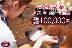 ＜保健所犬猫レスキュー【返礼品なしのご寄附】＞寄付金額100,000円※お礼状をお送りいたします。【返礼品なし 保護 動物愛護 いぬ ねこ イヌ ネコ 応援 宮崎県 国富町 いのちのはうす保護家】【a0625_in】