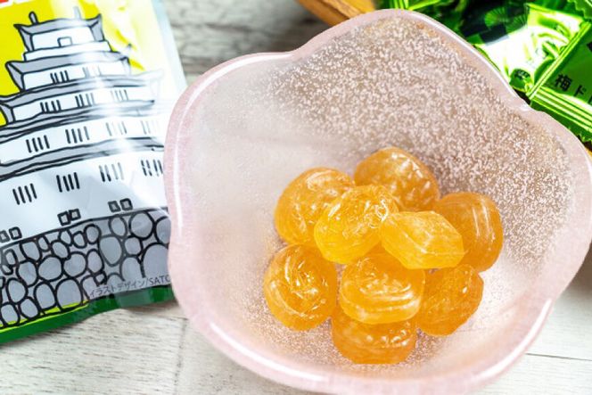 DF227【長崎限定】島原城の梅を使った「梅ドロップス」 2袋 [ あめ 飴 梅 うめ ウメ 限定 サクマドロップス コラボ 2袋 長崎県 島原市 ]