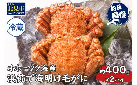 北海道産、活朝茹でボイル毛ガニ、3月から始まります。注文お待ちして  
