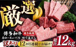 【全12回定期便】【訳あり】博多和牛 焼肉 切り落とし1kg（500g×2p）《築上町》【MEAT PLUS】肉 お肉 牛肉[ABBP156]